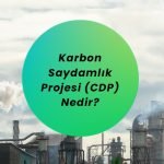 Karbon Saydamlık Projesi (CDP)